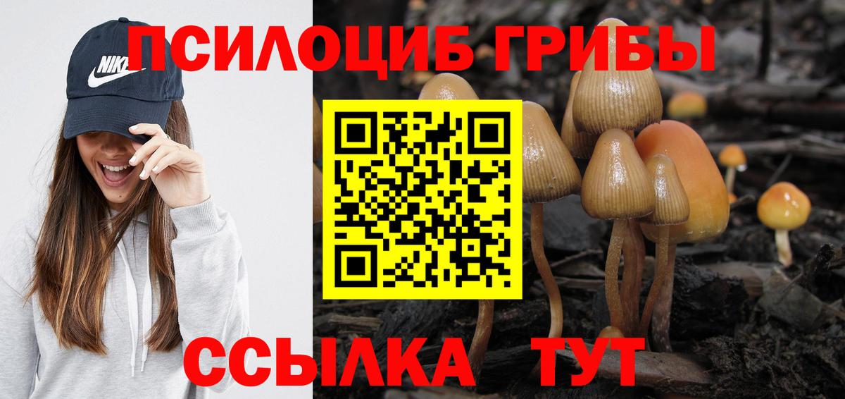 Галлюциногенные грибы MAGIC MUSHROOMS  Вход с VPN  Липецк 